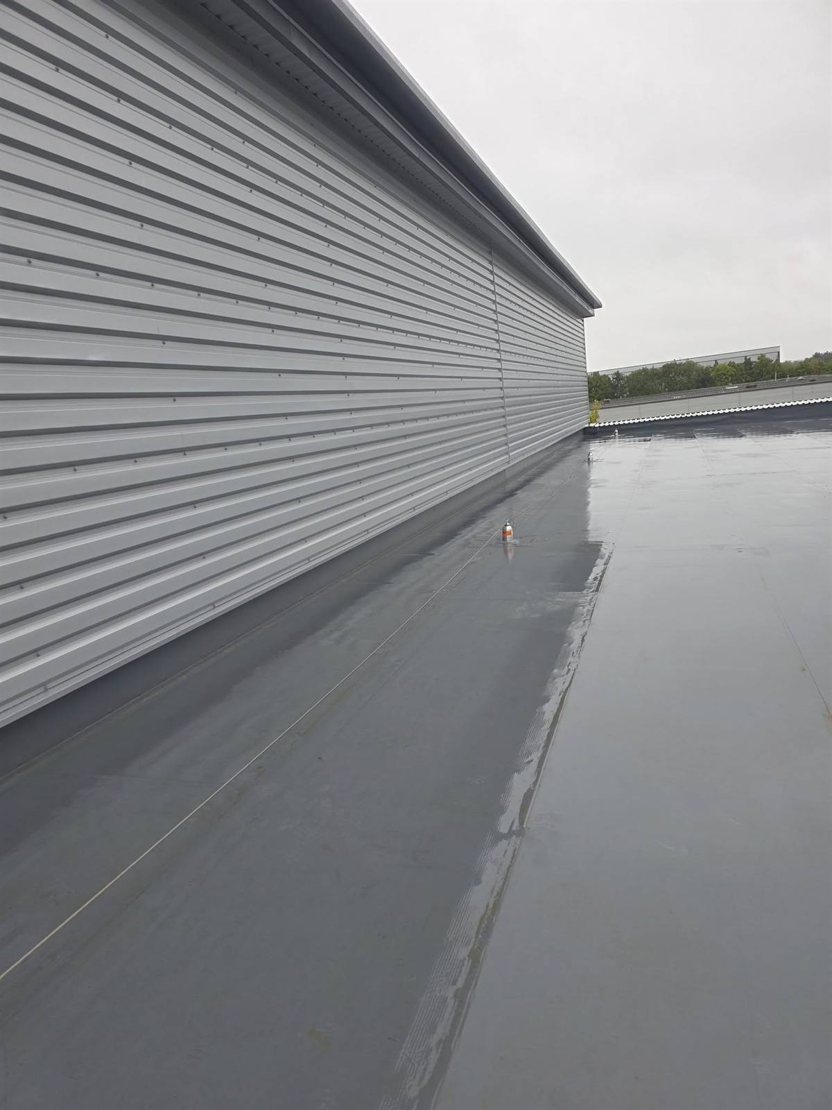 Green roof build-up over single-ply, Milton Keynes