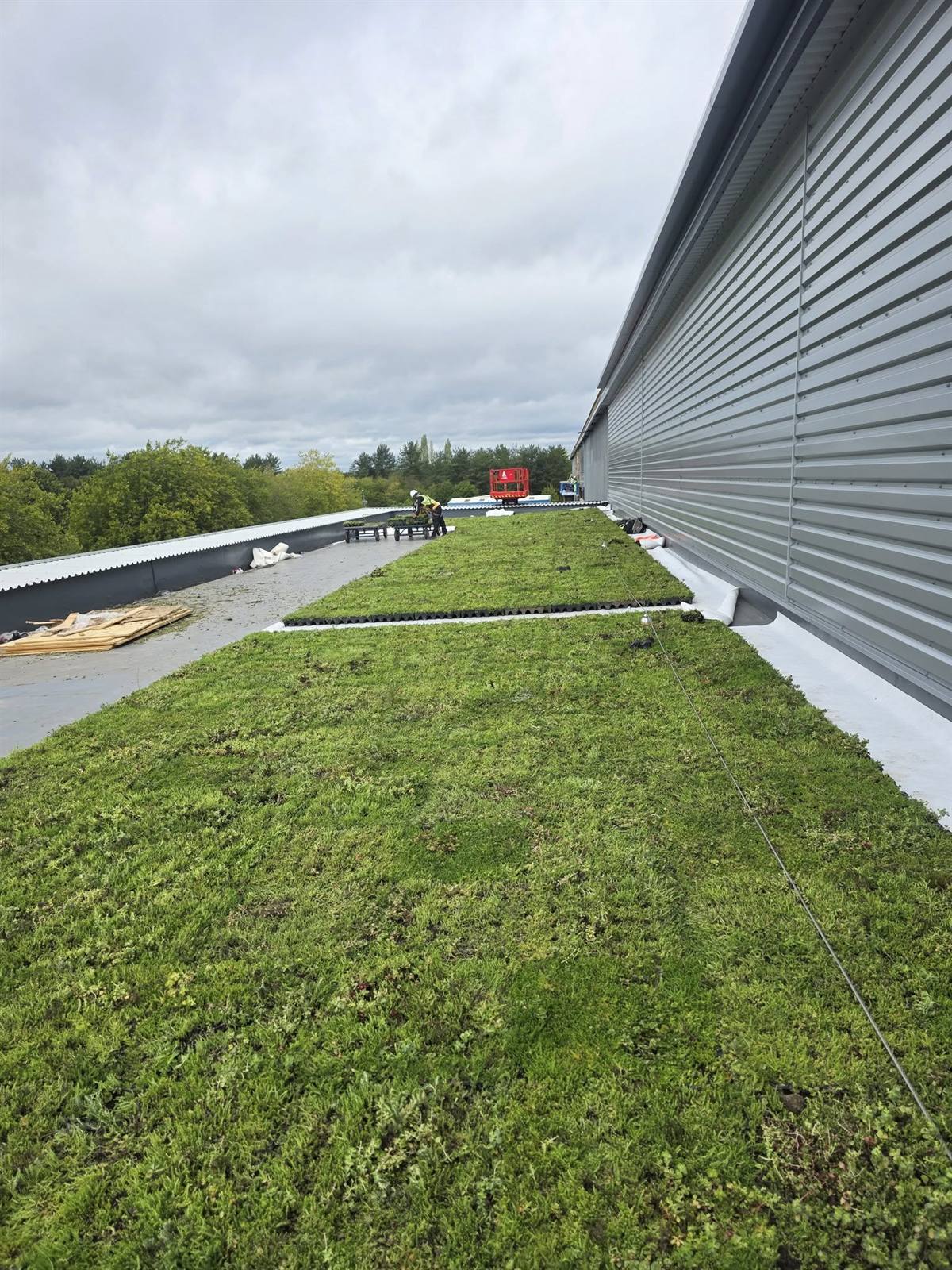 Living roof installation, Milton Keynes
